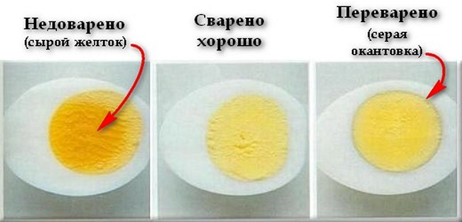 Что будет если переварить яйца. Сколько времени переваривается яйцо вареное. Что если переварить яйца. Переваренные яйца. Сколько переваривается желток.